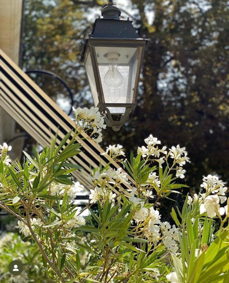 Bed & Breakfast Domaine Des Bidaudieres