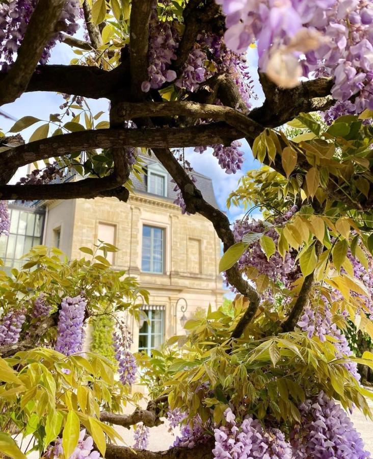 Bed & Breakfast Domaine Des Bidaudieres Vouvray